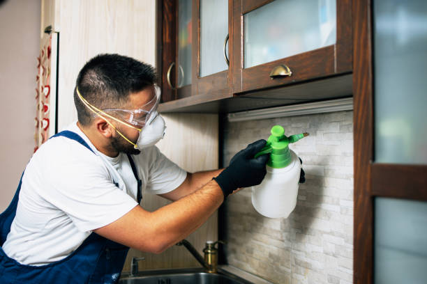 Best Commercial Pest Control Services  in Clare, MI