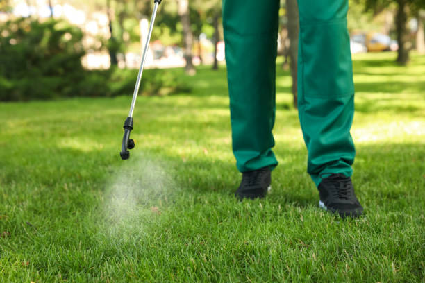 Best Termite Control Services  in Clare, MI