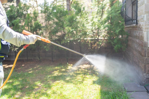 Best Residential Pest Control  in Clare, MI